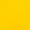 Caution Yellow